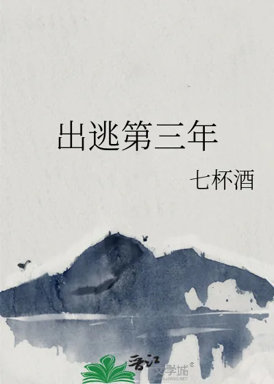 《出逃第三年》小说封面