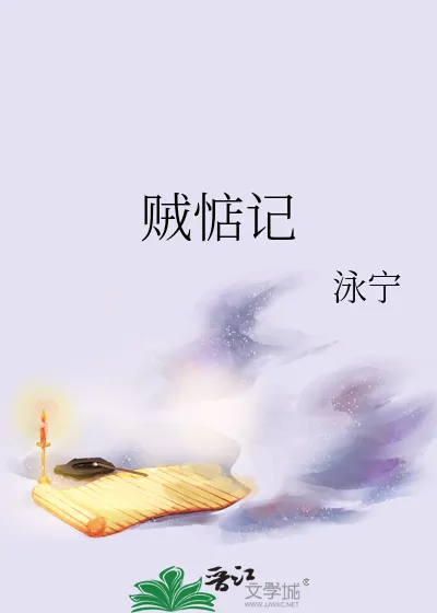 《贼惦记》小说封面