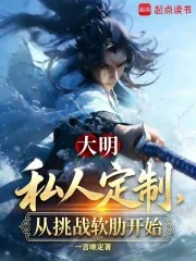 《大明：私人订制，从挑战软肋开始》小说封面