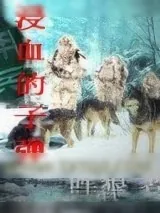 《狼之佣兵团》小说封面