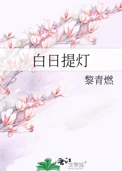 《白日提灯》小说封面