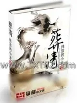 《葬清》小说封面
