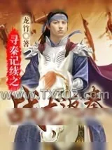 《寻秦记续之战龙返秦》小说封面