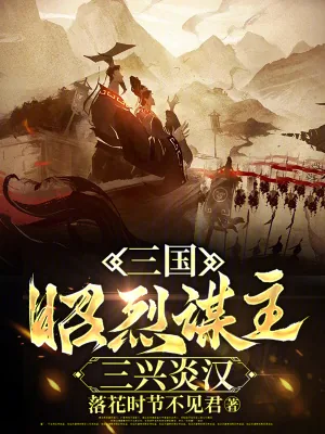 《三国：昭烈谋主，三兴炎汉》小说封面