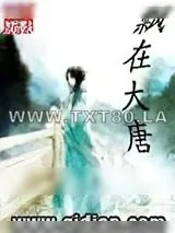 《飘在大唐》小说封面