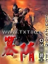 《篡隋》小说封面