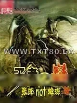 《王者之巅》小说封面