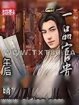 《一品富贵》小说封面