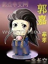 《郭嘉》小说封面