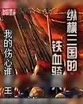 《纵横三国的铁血骑兵》小说封面