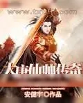 《大唐仙帅传奇》小说封面