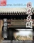 《国之大贼》小说封面