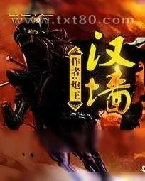 《汉墙》小说封面