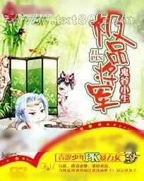 《极品将军》小说封面