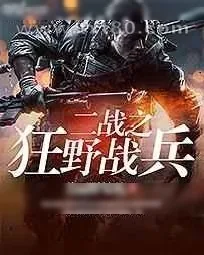 《二战之狂野战兵》小说封面