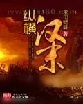 《纵横汉末》小说封面