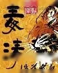 《毒清》小说封面