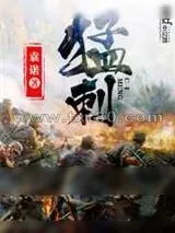 《猛刺》小说封面