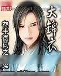 《大锦衣》小说封面