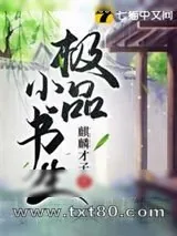 《极品小书生》小说封面