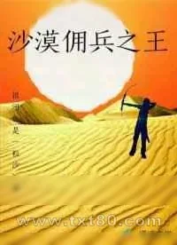 《沙漠佣兵之王》小说封面