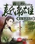 《三国之袁氏枭雄》小说封面