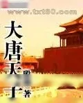 《大唐天子》小说封面