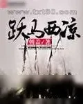 《跃马西凉》小说封面