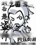 《三国之刘备是盗帅》小说封面