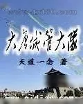 《大唐城管大队》小说封面