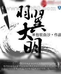 《羽翼大明》小说封面