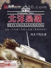 《北洋枭雄》小说封面