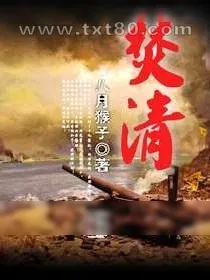 《焚清》小说封面