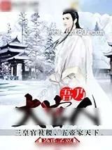 《吾乃大官人》小说封面