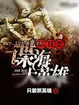 《类似风声》小说封面