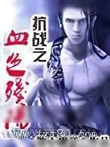 《抗战之血色残阳》小说封面