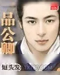 《一品公卿》小说封面
