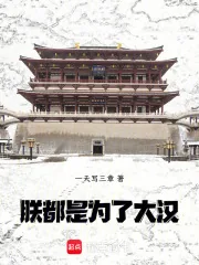 《朕，都是为了大汉！》小说封面