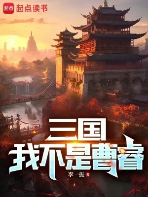 《三国：我不是曹睿》小说封面
