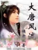 《大唐风流》小说封面