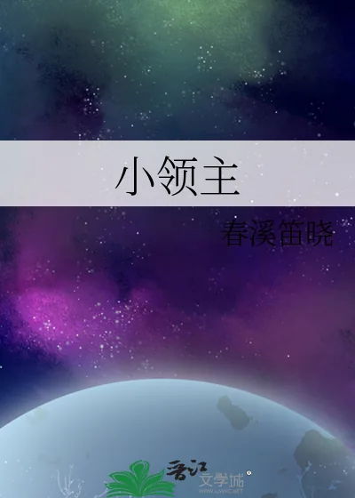 《小领主》小说封面