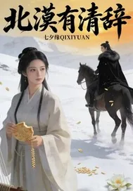 《北漠有清辞》小说封面