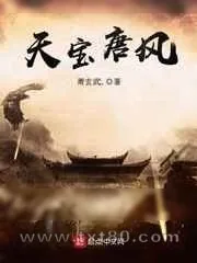 《天宝唐风》小说封面