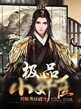 《极品小奸臣》小说封面