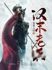 《汉末老兵》小说封面