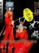 《极品女婿》小说封面