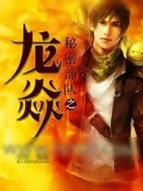 《秘密部队之龙焱》小说封面