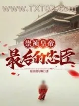 《大明崇祯最后的忠臣》小说封面