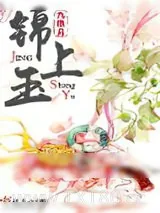 《锦上玉》小说封面