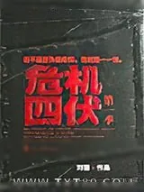 《危机四伏》小说封面